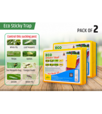 ECO Sticky Trap pack of 25 pieces